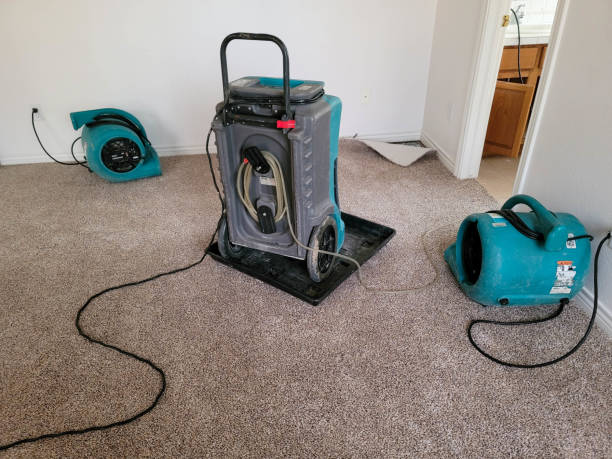 Best Water damage contractors near me  in Lima, PA