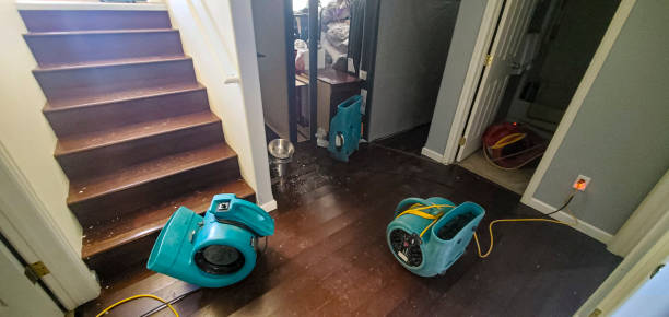 Best Flooded house restoration  in Lima, PA
