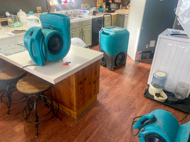 Best 24/7 water damage repair  in Lima, PA