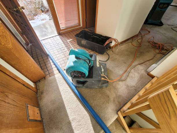 Best Water damage mitigation services  in Lima, PA
