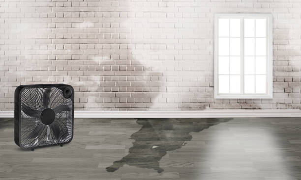 Best 24-hour water damage restoration  in Lima, PA