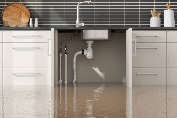 Best Basement water damage restoration  in Lima, PA