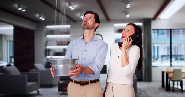 Best Water damage cleanup near me  in Lima, PA