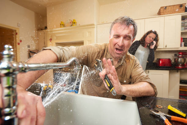 Best Local water damage restoration  in Lima, PA